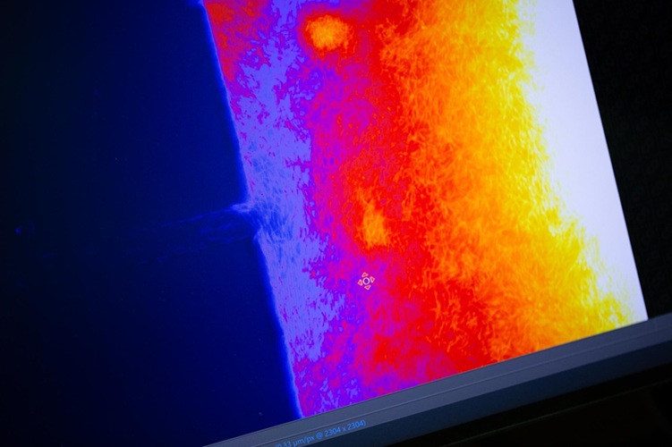 Las imágenes capturan a E. coli avanzando a través de un canal confinado (Fotografía cortesía de la Universidad de Pensilvania) Las imágenes capturan a E. coli avanzando a través de un canal confinado (Fotografía cortesía de la Universidad de Pensilvania)